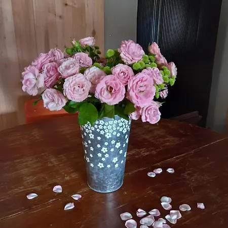 Kwatera prywatna Vastseliina Metskond *