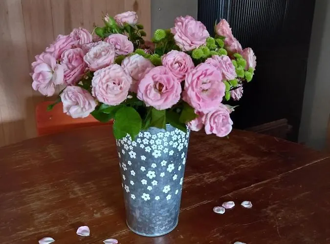 Homestay Vastseliina Metskond *