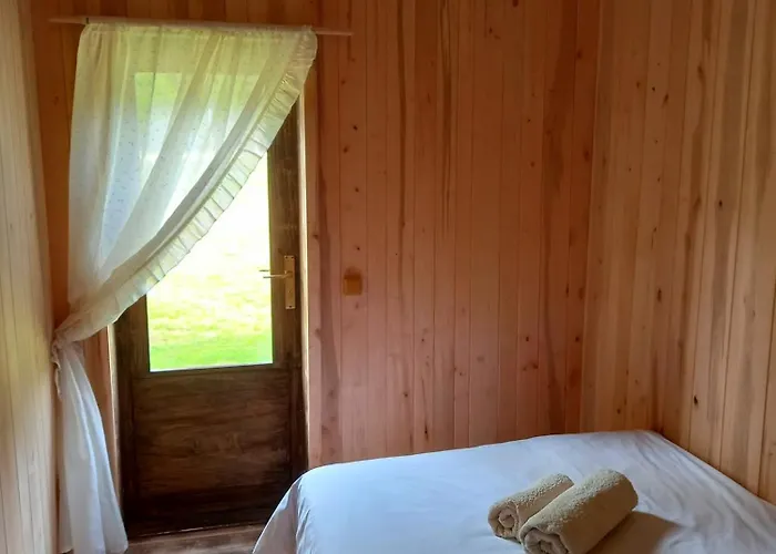 Homestay Vastseliina Metskond